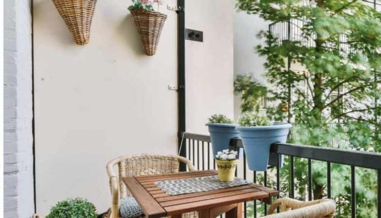 Dicas para achar a planta perfeita e alegrar sua varanda ensolarada