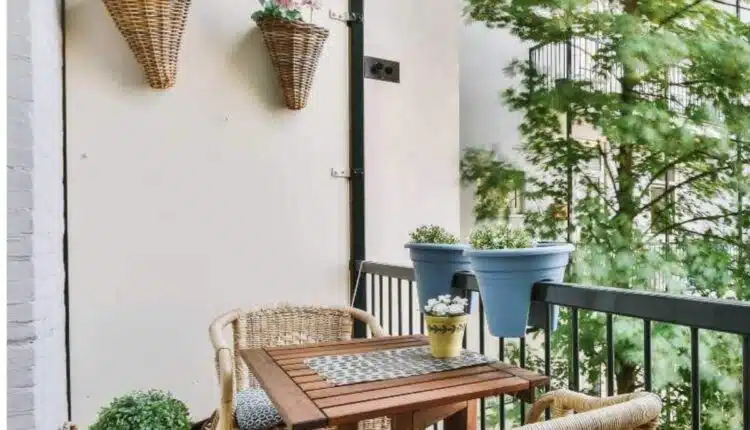 Dicas para achar a planta perfeita e alegrar sua varanda ensolarada