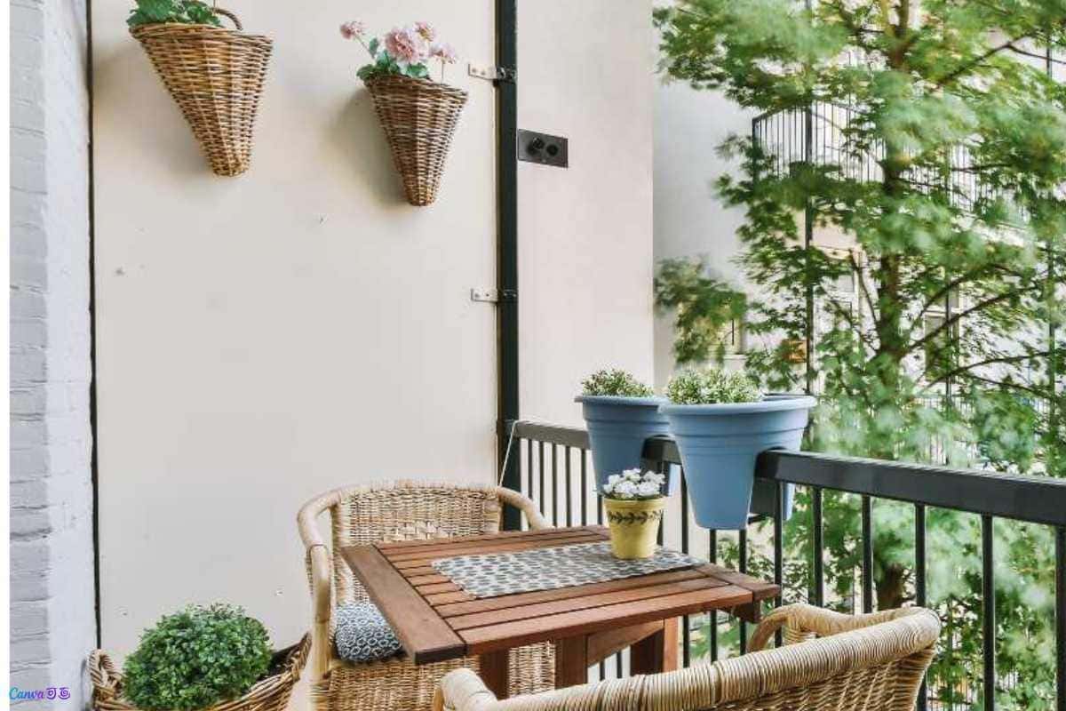 Dicas para achar a planta perfeita e alegrar sua varanda ensolarada