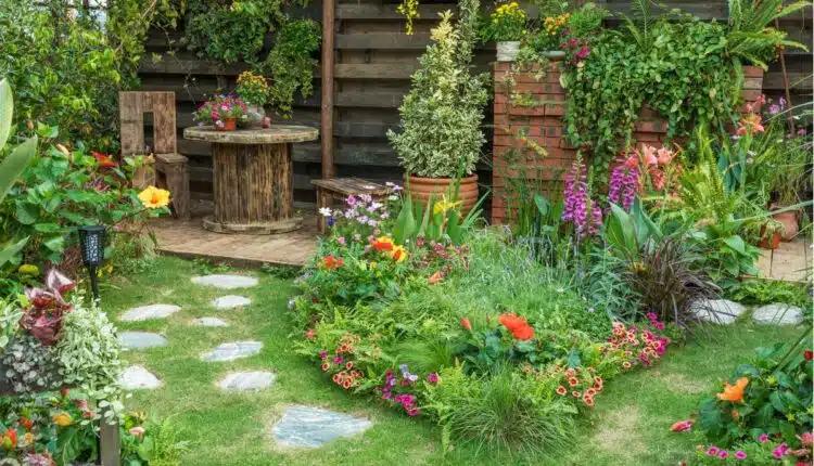 Plantas fáceis para deixar seu quintal pequeno super aconchegante
