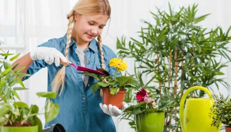 Quer uma varanda linda e fresca sem esforço? Aposte nessa planta