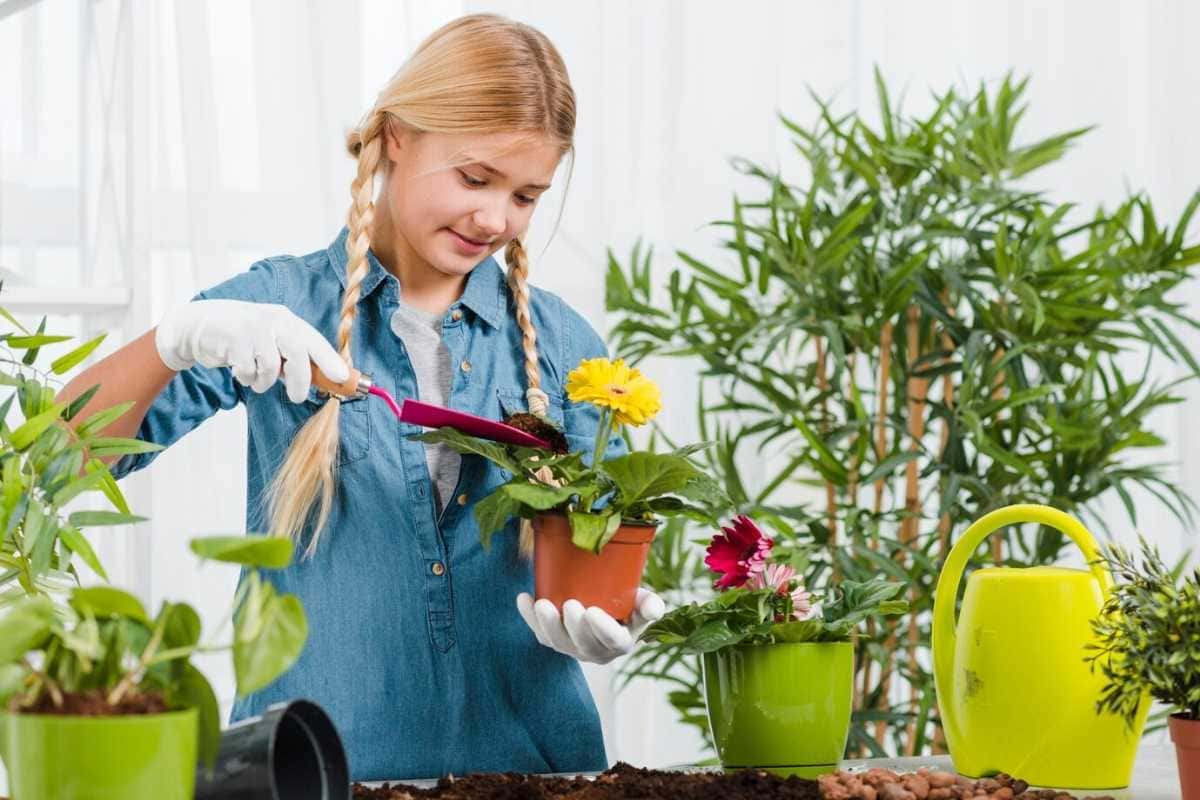 Quer uma varanda linda e fresca sem esforço? Aposte nessa planta