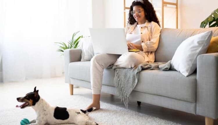 Sofá cheiroso como novo mesmo com pet? Dá pra conseguir!