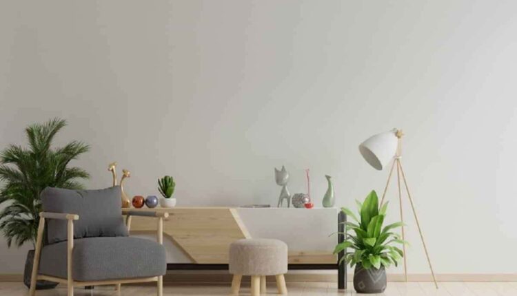 Como escolher vasos que deixam a sala mais aconchegante