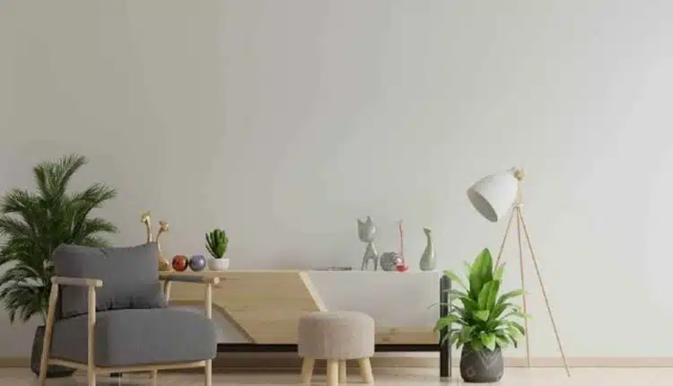 Como escolher vasos que deixam a sala mais aconchegante