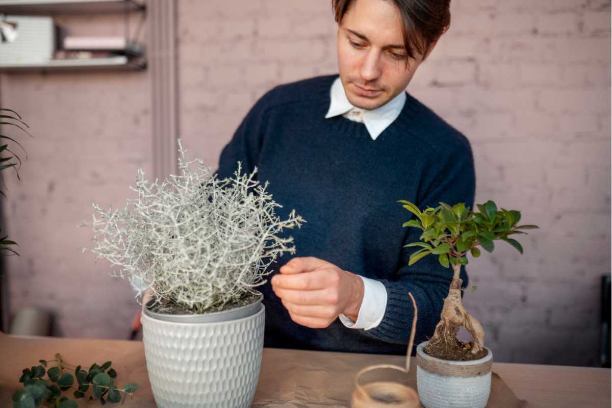 Como saber se sua planta ainda tem salvação