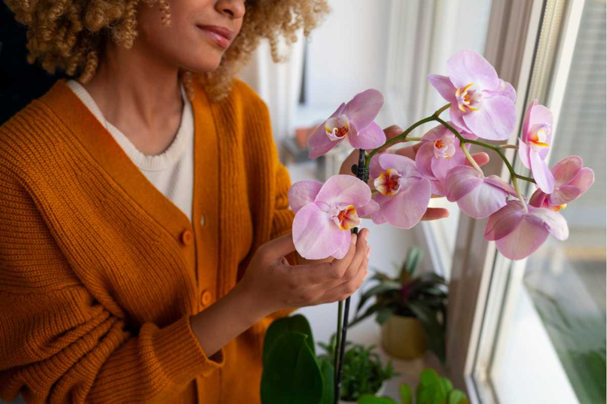 O segredinho fácil que faz suas orquídeas florescerem de novo
