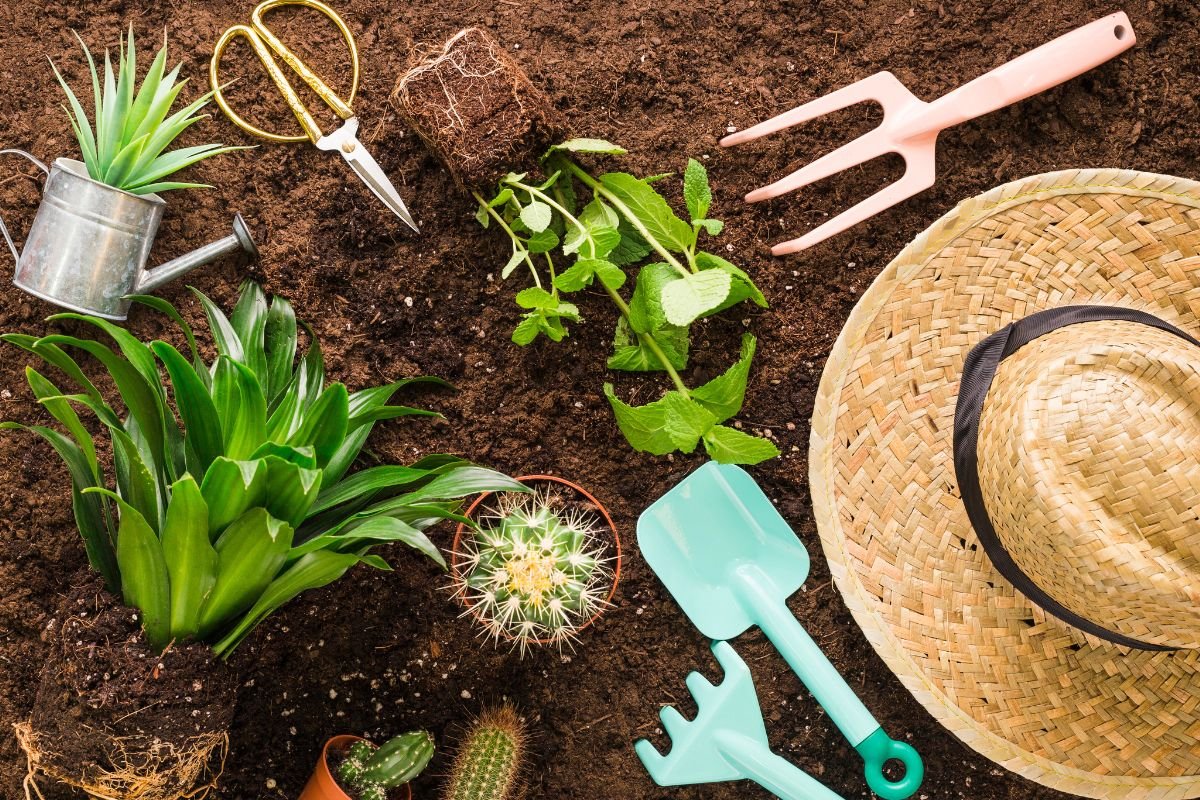 10 plantas que não sofrem com o calor e vão salvar seu jardim
