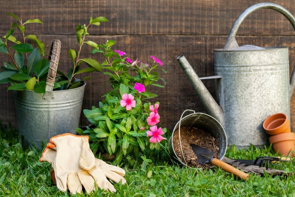 Aprendi isso no jardim e nunca mais perdi minhas plantinhas
