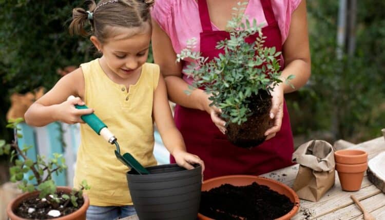 Dicas fáceis para despertar o amor pelas plantas nas crianças