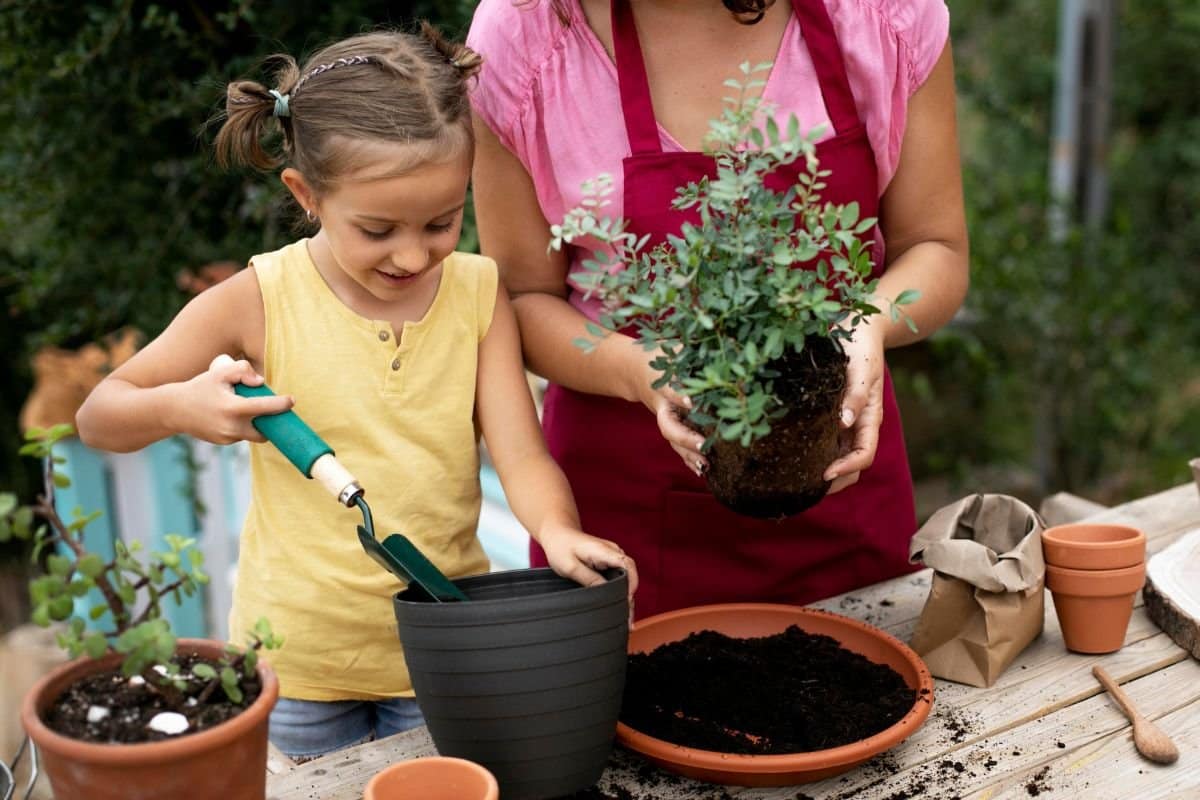 Dicas fáceis para despertar o amor pelas plantas nas crianças