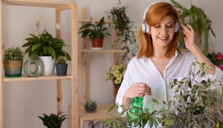 Plantas que deixam sua casa sempre cheirosa sem esforço