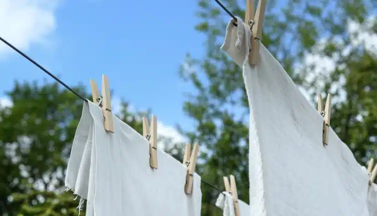Sabão de coco e vinagre nas roupas: por que pode não ser boa ideia